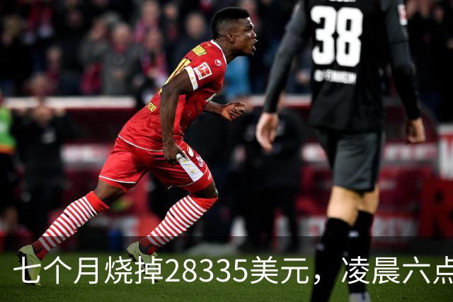 七个月烧掉28335美元，凌晨六点前的工具调用只有0.7%