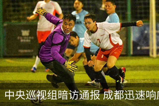 中央巡视组暗访通报 成都迅速响应立案拟顶格处罚